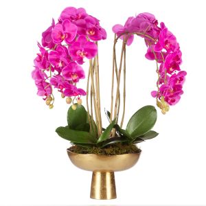 Rogue Phalaenopsis Orchid-Metal Footed Pink 55x55x67cm