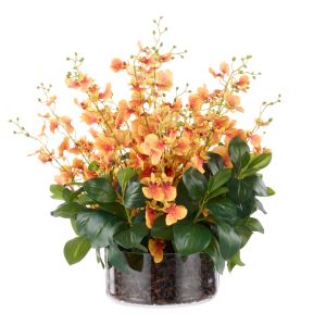 Rogue Dancing Orchid-Smalll Madelyn Bowl Orange 58x47x49cm