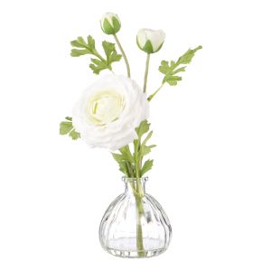 Rogue Ranunculus-Glass Vase White 20x24x12cm