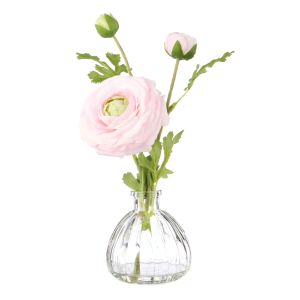 Rogue Ranunculus-Glass Vase Pink 20x24x12cm