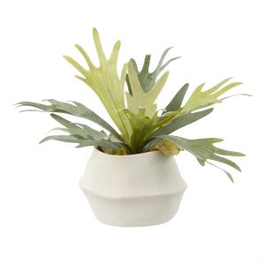 Rogue Staghorn-Maliah Pot Green 40x40x27cm