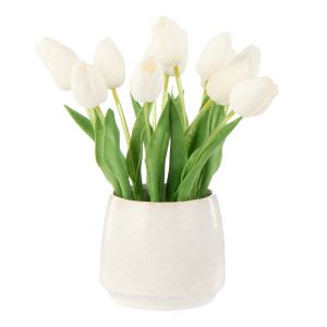 Rogue Tulip Bunch-Gianni Pot White 32x27x26cm