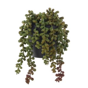 Rogue String of Pearls-Garden Pot Green & Burgundy 15x14x20cm