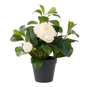 Rogue Peony Lush Leaf-Garden Pot White & Green 30x29x38cm