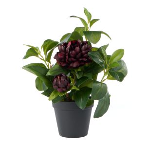 Rogue Peony Lush Leaf-Garden Pot Burgundy & Green 30x29x38cm