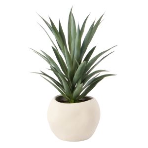Rogue Yucca Plant-Lyon Planter Green 47x47x78cm