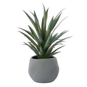 Rogue Yucca Plant-Lyon Planter Green 47x47x78cm