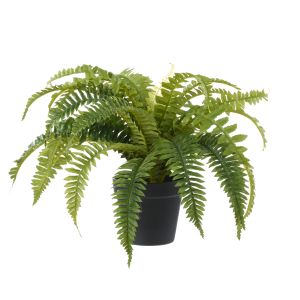 Rogue Boston Fern-Garden Pot Green 49x49x37cm