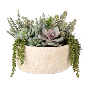 Rogue Succulent Garden-Textured Cement Green 43x43x33cm