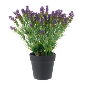 Rogue Lavender-Garden Pot Purple & Green 44x37x40cm