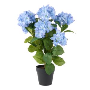 Rogue Hydrangea Plant-Garden Pot Blue 39x40x59cm