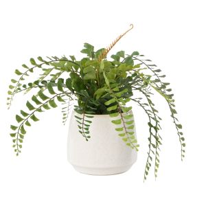 Rogue Jewel Fern-Gianna Pot Green 39x35x24cm