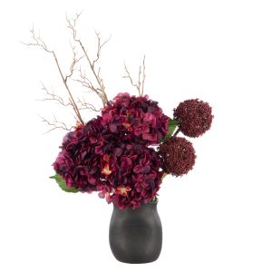 Rogue Hydrangea Allium-Maliah Pot Purple 55x30x76cm