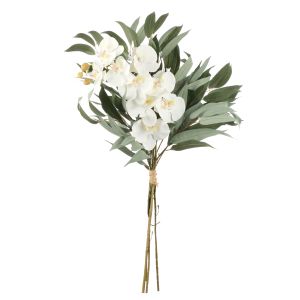 Rogue Phalaenopsis Eucalyptus Mix Bouquet White 40x30x84cm