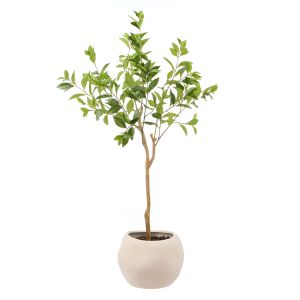 Rogue Ficus-Lyon Organic Bowl Planter Green 88x76x125cm