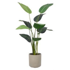 Rogue Giant Bird Of Paradise-Cylinder Planter Green 83x84x145cm