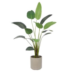 Rogue Giant Bird Of Paradise-Cylinder Planter Green 77x136x189cm