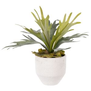 Rogue Staghorn - Delos Planter Green 34x37x39cm