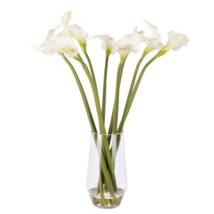 Rogue Calla Lily - Odessa Vase Cream 64x61x77cm