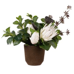 Rogue Protea Pod - Palermo Pot White 45x47x46cm