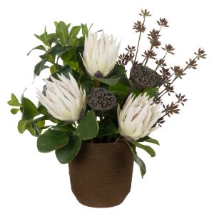 Rogue Protea Pod - Palermo Pot White 57x62x56cm