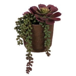 Rogue Succulent Mix - Palermo Vase Red 17x14x17cm