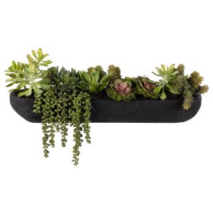 Rogue Succulent Mix - Dansk Tray Green 22x65x23cm
