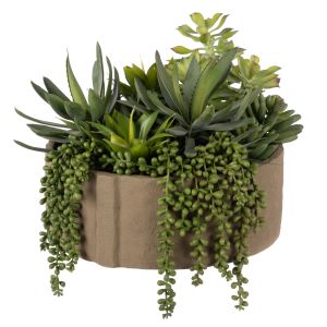 Rogue Succulent Mix - Danvers Seam Pot Wide Green 36x35x28cm