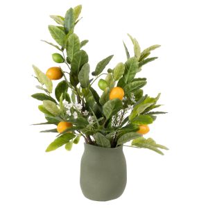 Rogue Citrus Leaf - Maliah Pot Green 46x60x60cm