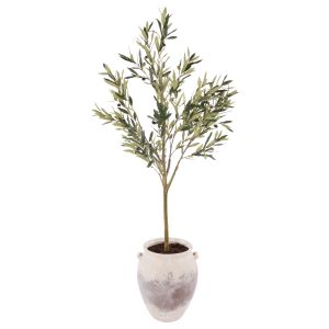 Rogue Olive Tree - Inga Vase Green 76x70x165cm