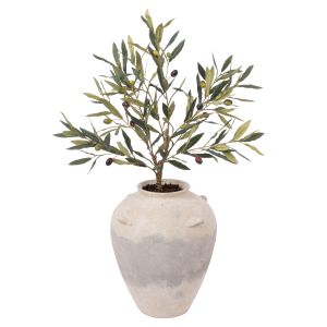 Rogue Olive Tree - Inga Vase Multi-Coloured 
16x2x16cm