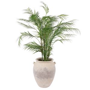 Rogue Phoenix Palm - Inga Vase Green 
79x90x120cm