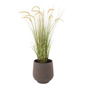 Rogue Grass Plant-Trillium Grasses
Green 78x50x136cm