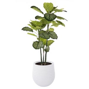 Rogue Calathea Plant - Ryker Planter Green 97x75x175cm