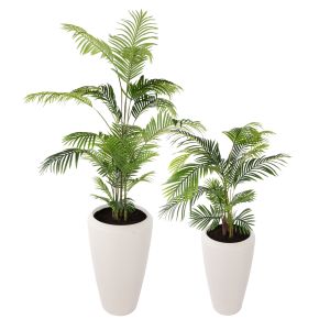 Rogue Areca Palm - Vienna Planter Tall 2pcs Set Green