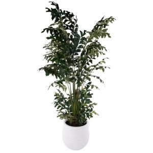 Rogue Caryota Palm - Ryker Planter Green 126x130x260cm