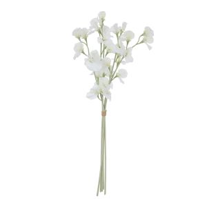 Rogue Sweet Pea Bunch Cream 10x16x64cm