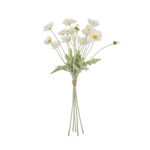 Rogue Poppy Bunch Cream 16x24x60cm