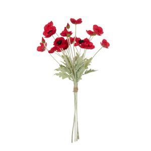 Rogue Poppy Bunch Red 16x24x60cm
