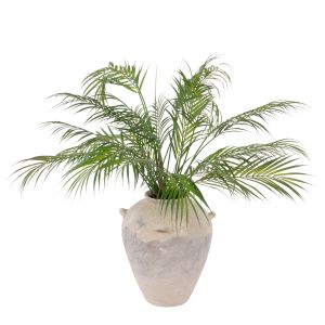Rogue Phoenix Palm - Inga Vase Green 84x82x80cm