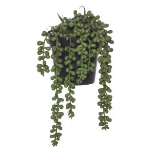Rogue String of Pearls-Garden Pot Green/Black 14x14x23cm