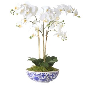 Rogue Phalaenopsis Orchid Pot White 46x46x66cm