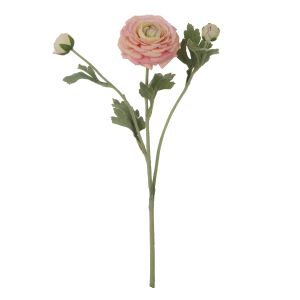 Rogue Ranunculus Real Touch Spray Champagne 18x18x60cm