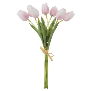 Rogue Tulip Bunch Pink 14x12x35cm