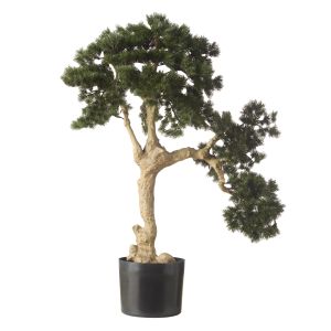 Rogue Pine Bonsai Green 100x50x96cm