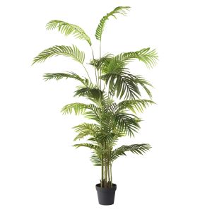 Rogue Areca Palm Tree Green 65x65x190cm