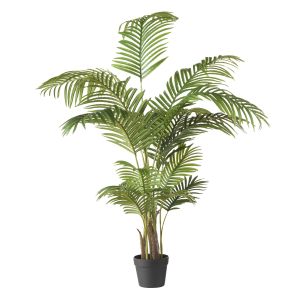 Rogue Areca Palm Tree Green 96x90x145cm