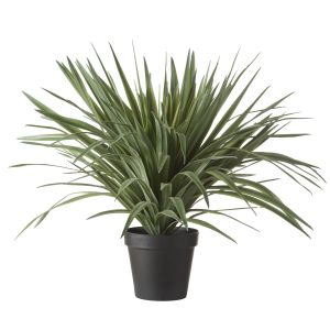 Rogue Sisal Plant UV Green 60x60x68cm
