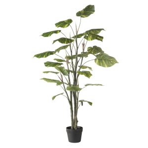 Rogue Pothos Tree Green 43x43x120cm