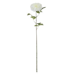 Rogue Chrysanthemum Stem White 71x20x19cm